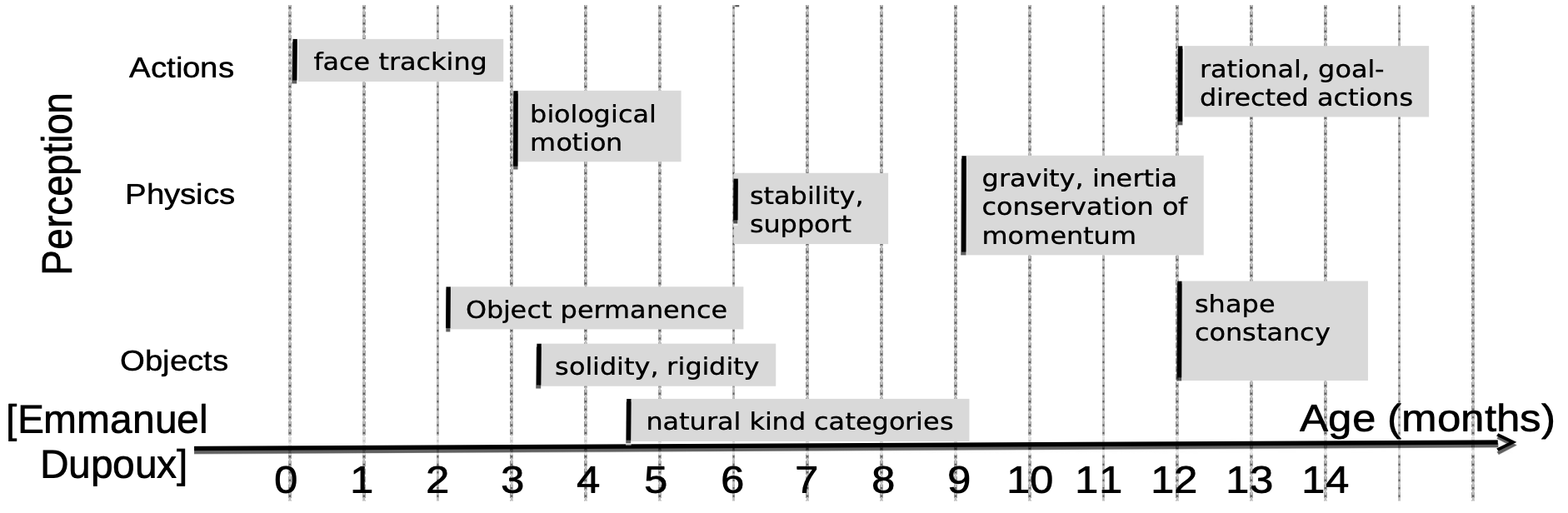 Dupoux diagram on cognitive development