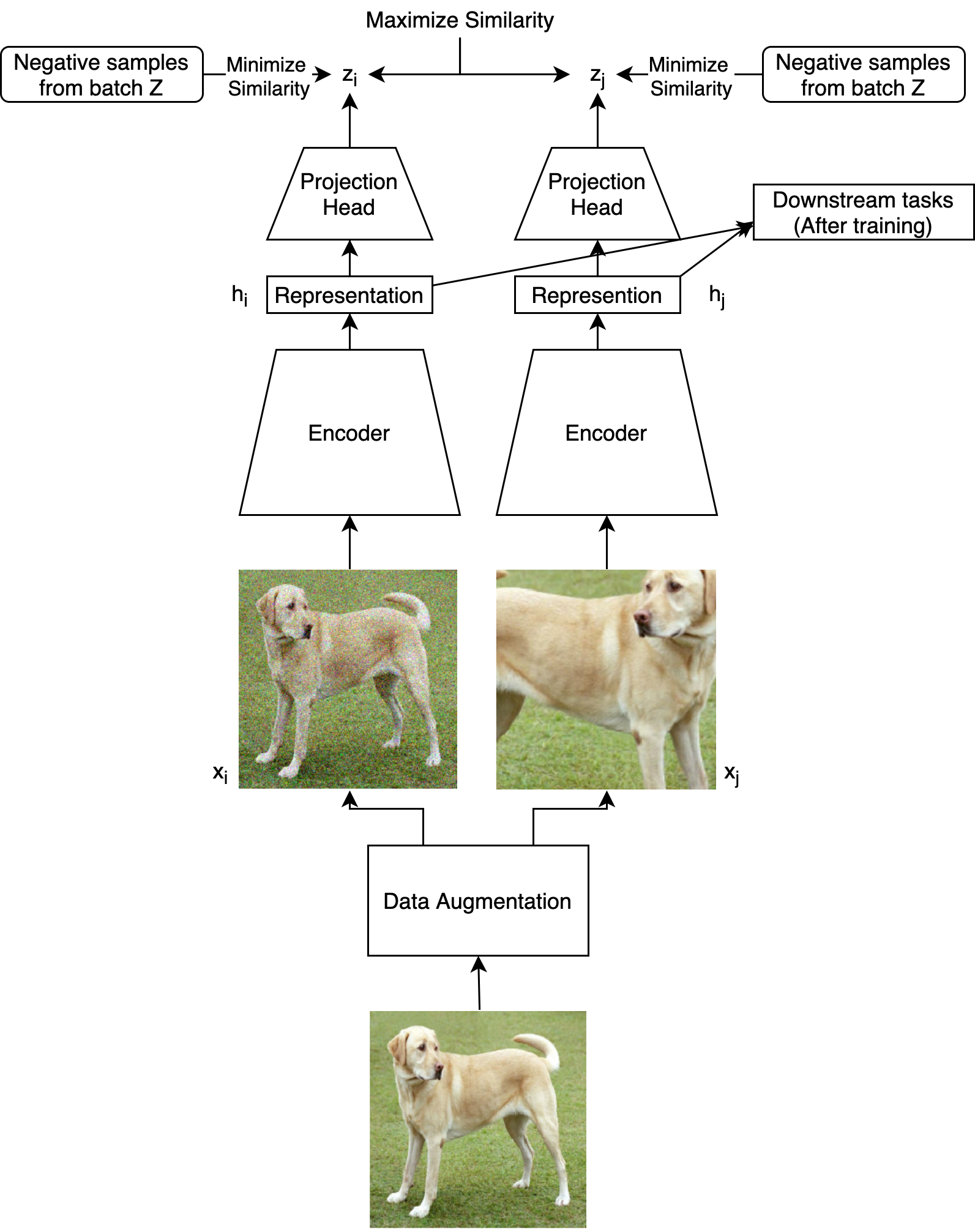 SimCLR architecture