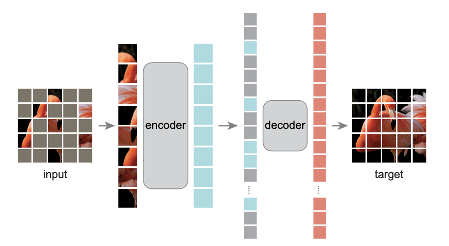 Masked Autoencoder