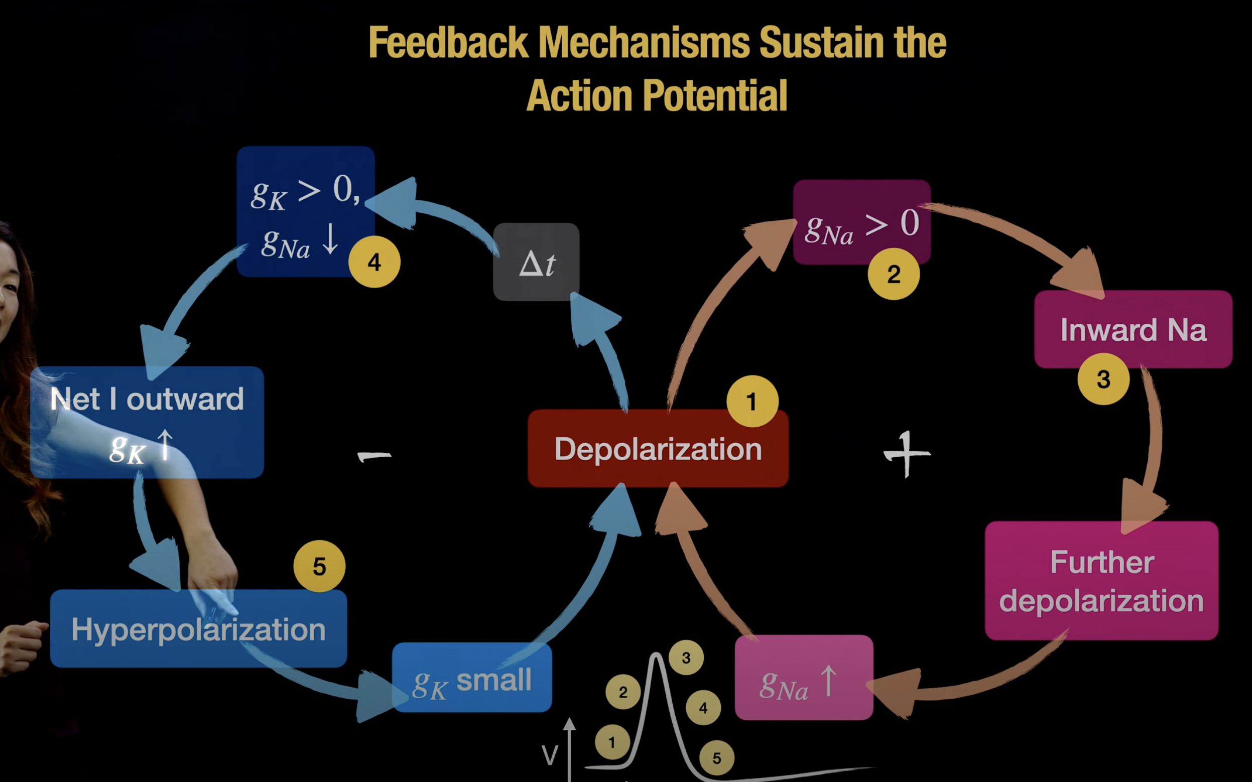 Screenshot 2023-05-14 at 8.09.12 PM.png