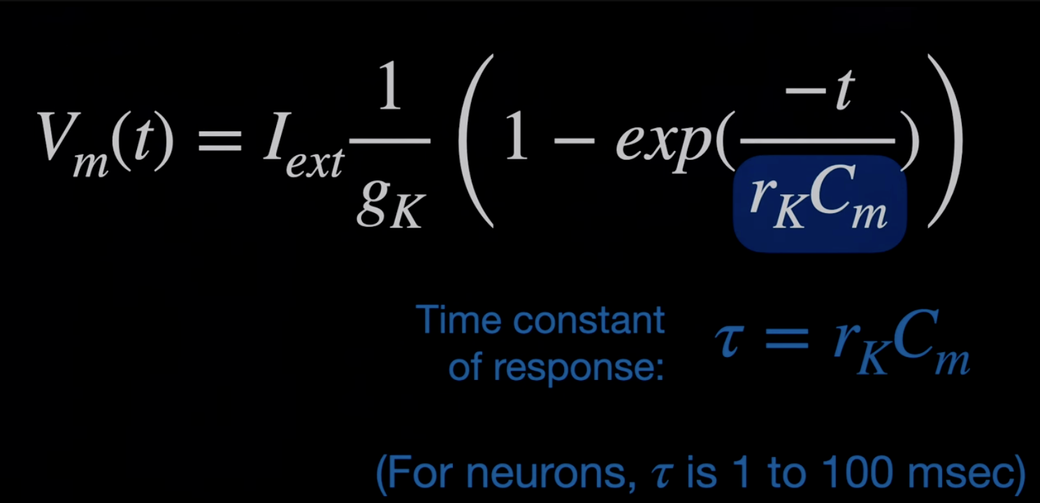 Screenshot 2023-05-08 at 8.07.45 AM.png
