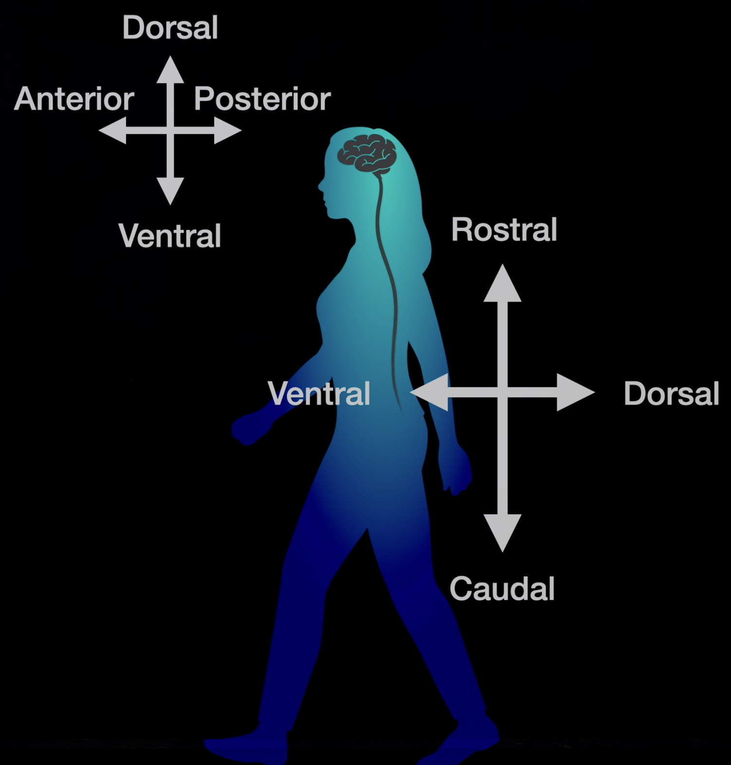 Screenshot 2023-05-28 at 7.51.22 AM.png