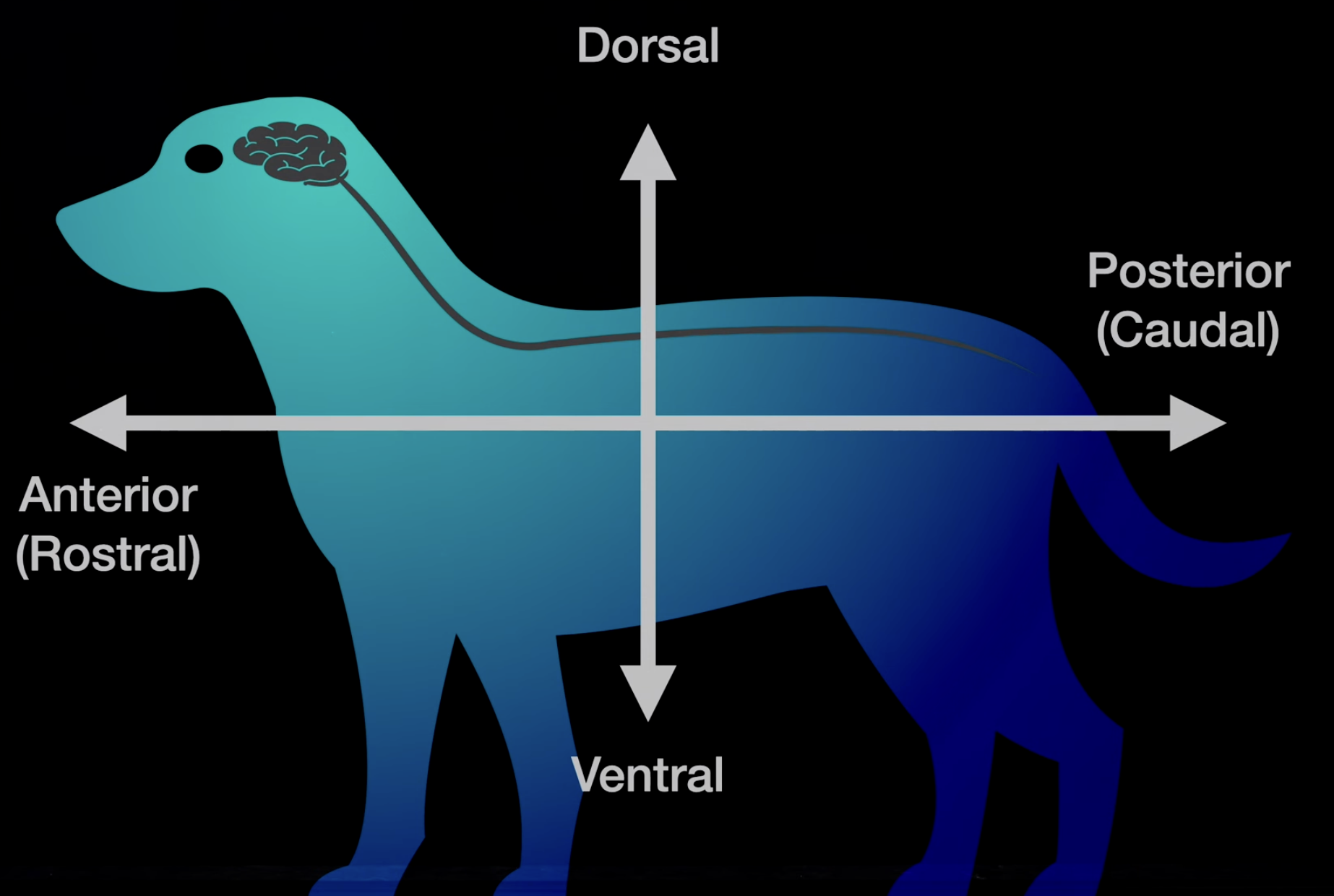 Screenshot 2023-05-28 at 7.49.11 AM.png