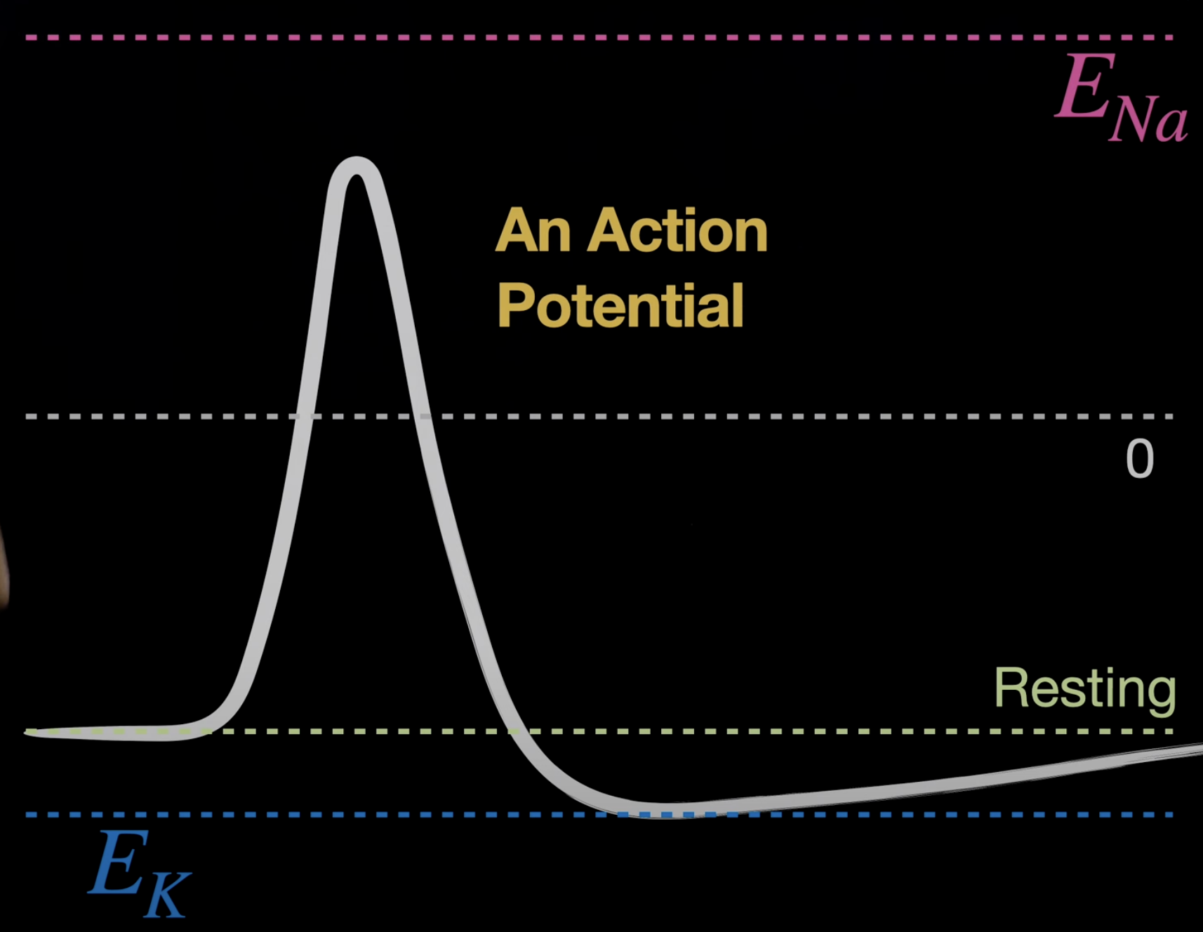 Screenshot 2023-05-14 at 9.04.52 AM.png