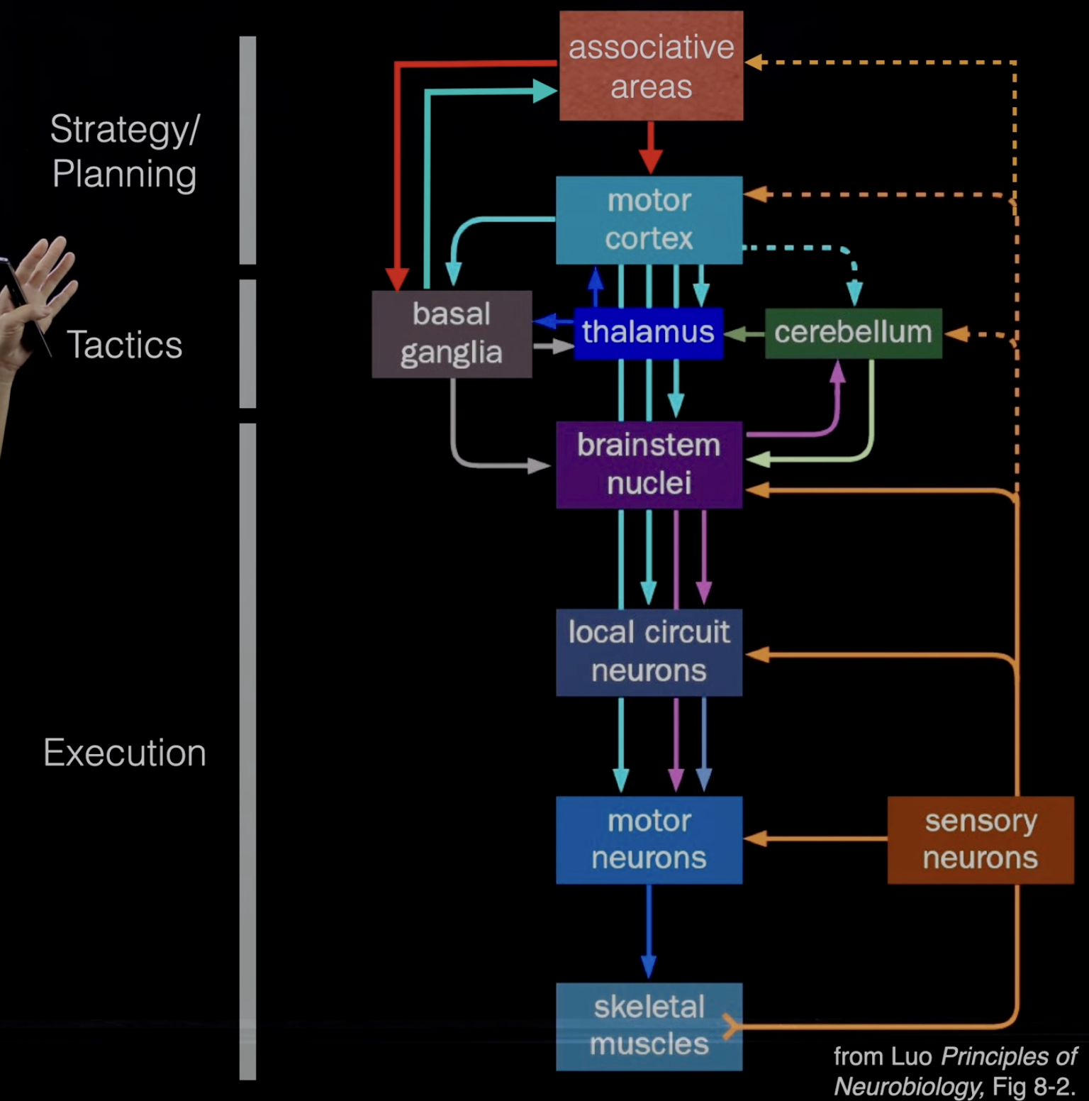 Screenshot 2024-02-10 at 12.32.29 PM.png