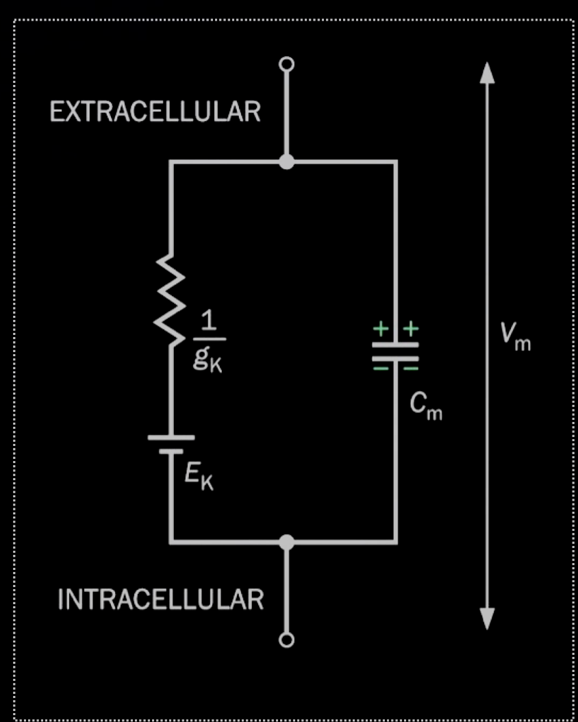 Screenshot 2023-05-07 at 9.14.39 PM.png