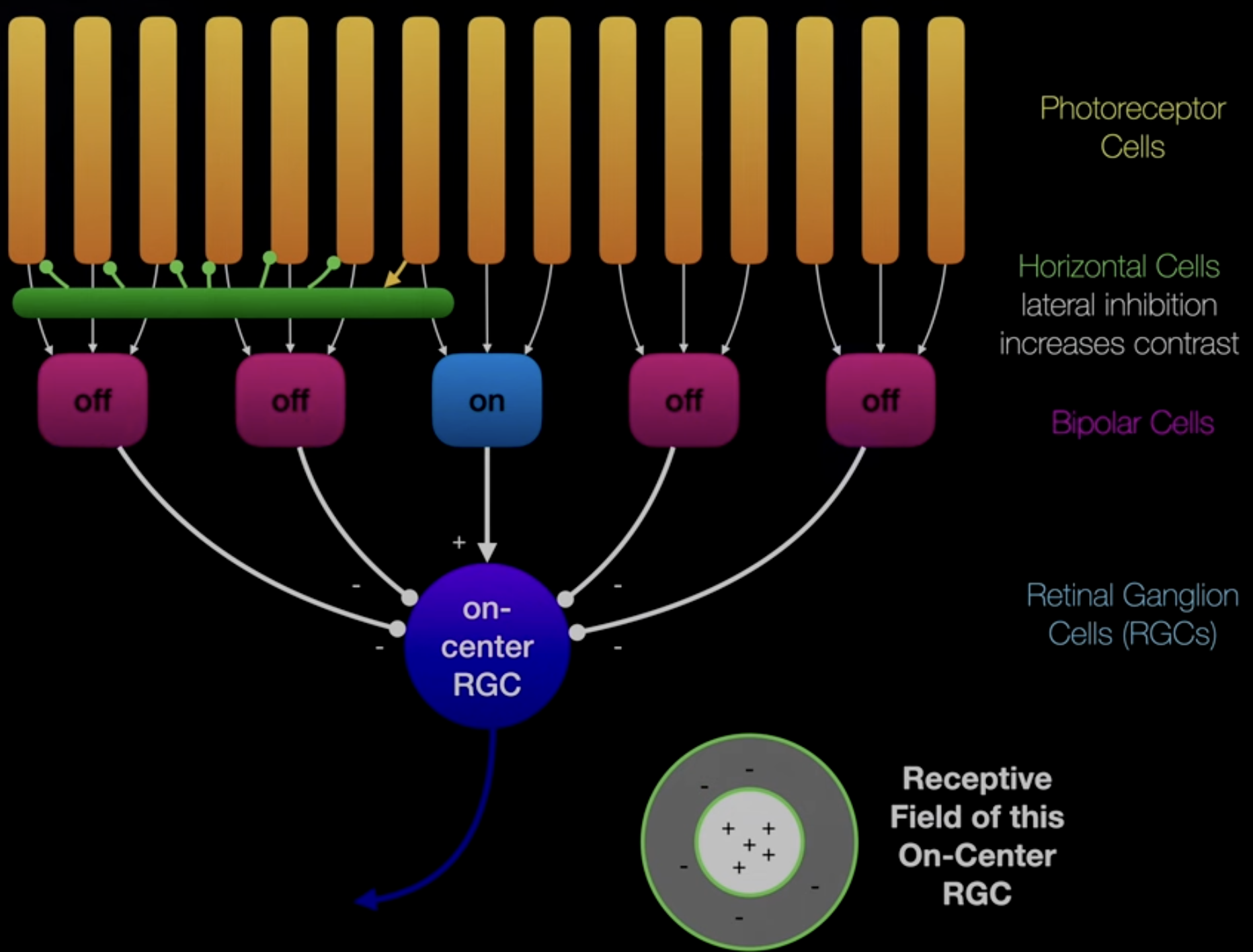 Screenshot 2024-01-14 at 4.38.02 PM.png