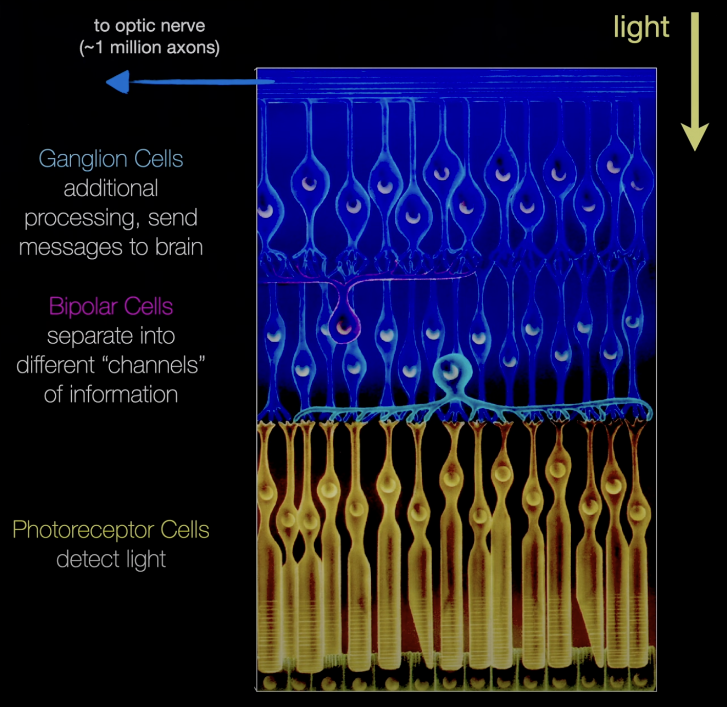 Screenshot 2024-01-14 at 11.19.01 AM.png