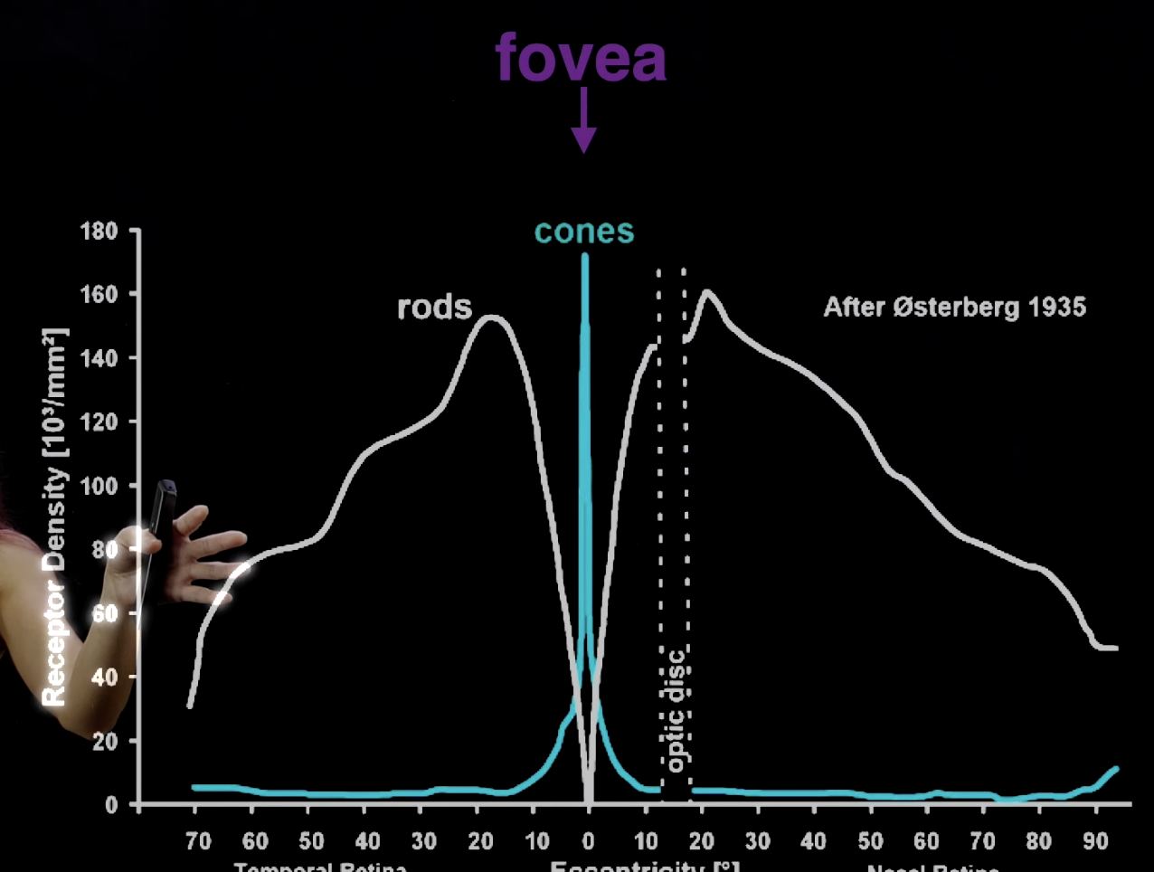 Screenshot 2024-01-14 at 11.47.17 AM.png