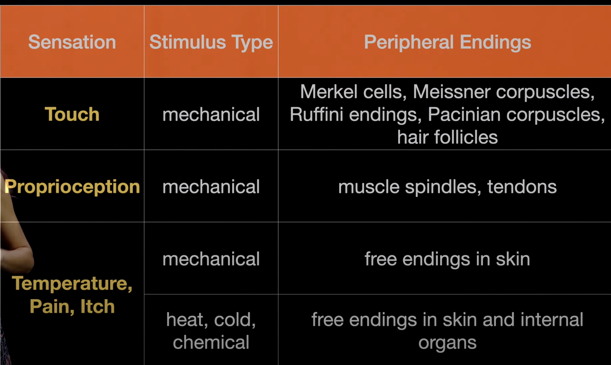 Screenshot 2024-02-04 at 9.45.17 AM.png